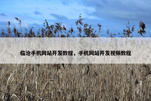 临沧手机网站开发教程，手机网站开发视频教程