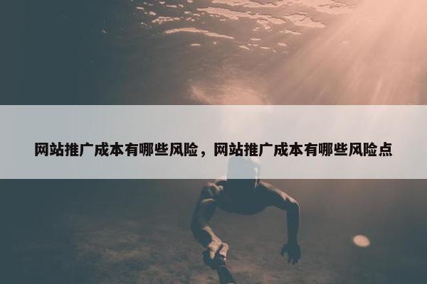 网站推广成本有哪些风险，网站推广成本有哪些风险点