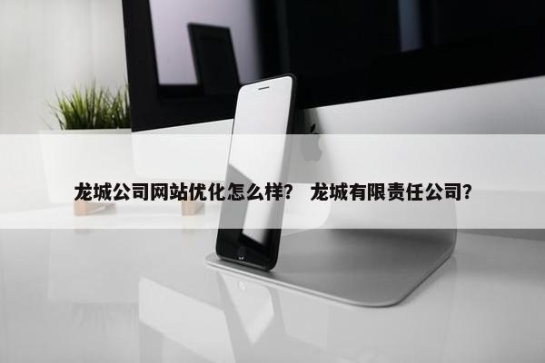 龙城公司网站优化怎么样？ 龙城有限责任公司？