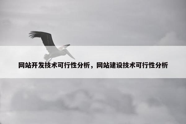 网站开发技术可行性分析，网站建设技术可行性分析