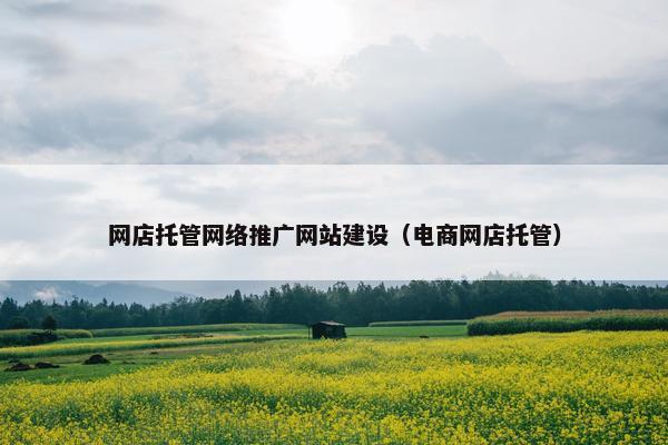 网店托管网络推广网站建设（电商网店托管）