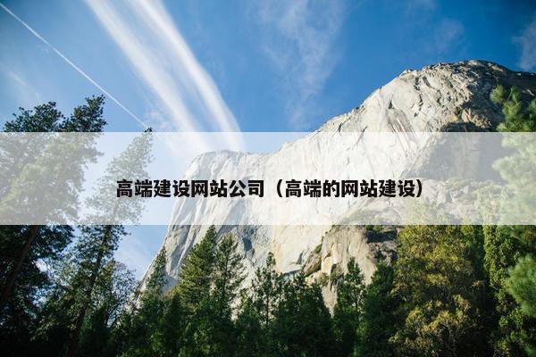 高端建设网站公司（高端的网站建设）