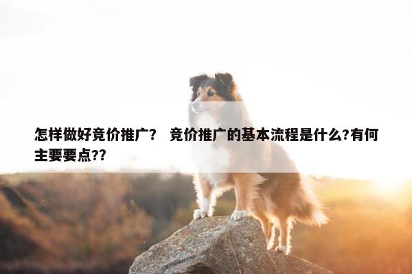 怎样做好竞价推广？ 竞价推广的基本流程是什么?有何主要要点?？