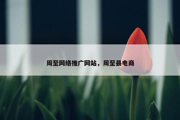 周至网络推广网站，周至县电商