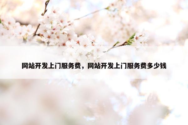 网站开发上门服务费，网站开发上门服务费多少钱