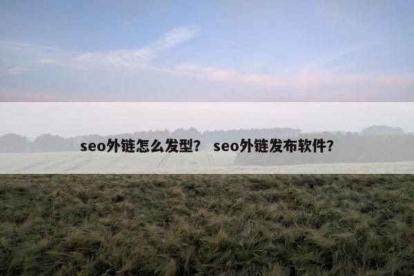 seo外链怎么发型？ seo外链发布软件？