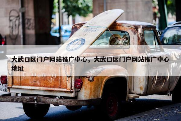 大武口区门户网站推广中心，大武口区门户网站推广中心地址