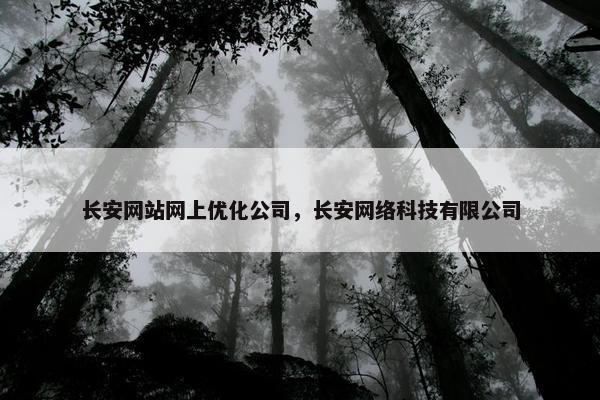 长安网站网上优化公司，长安网络科技有限公司
