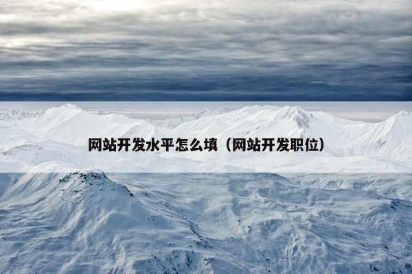 网站开发水平怎么填（网站开发职位）