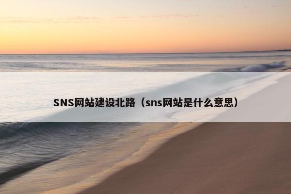 SNS网站建设北路（sns网站是什么意思）
