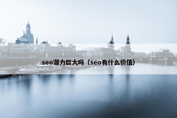 seo潜力巨大吗（seo有什么价值）