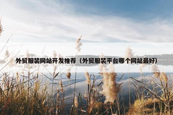 外贸服装网站开发推荐（外贸服装平台哪个网站最好）