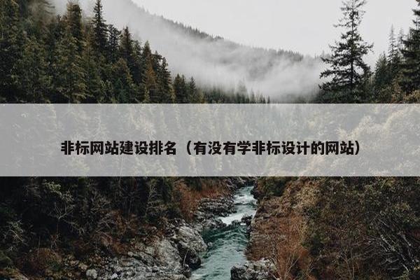 非标网站建设排名（有没有学非标设计的网站）