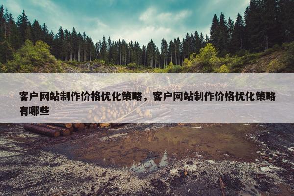 客户网站制作价格优化策略，客户网站制作价格优化策略有哪些