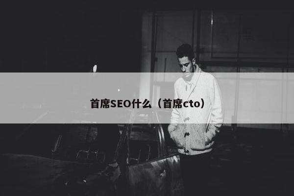 首席SEO什么（首席cto）