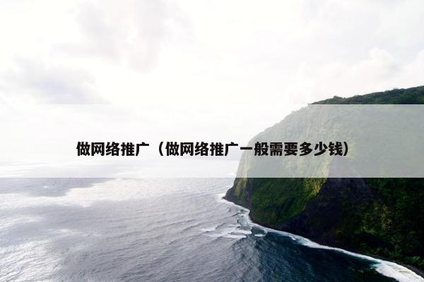 做网络推广（做网络推广一般需要多少钱）