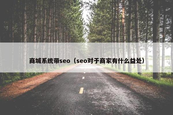 商城系统带seo（seo对于商家有什么益处）