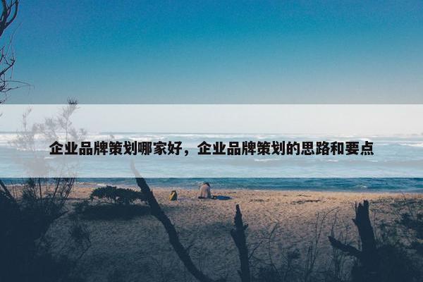 企业品牌策划哪家好，企业品牌策划的思路和要点
