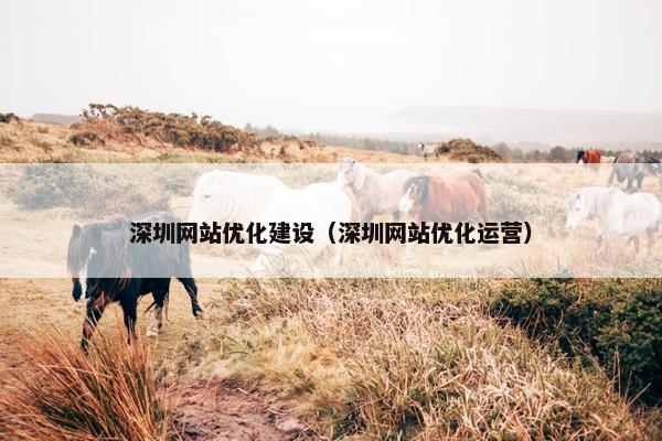深圳网站优化建设（深圳网站优化运营）