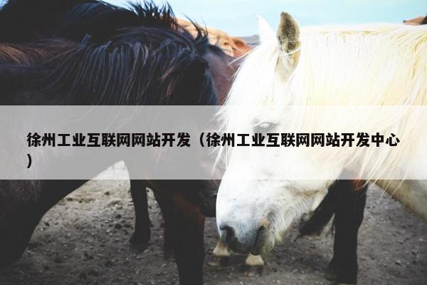 徐州工业互联网网站开发（徐州工业互联网网站开发中心）