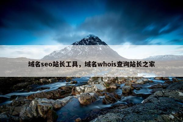 域名seo站长工具，域名whois查询站长之家