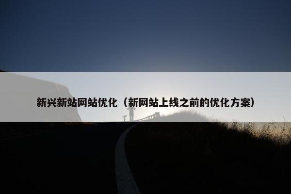 新兴新站网站优化（新网站上线之前的优化方案）