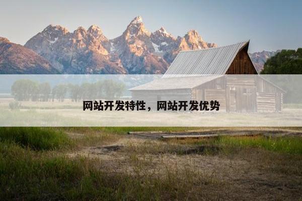 网站开发特性，网站开发优势