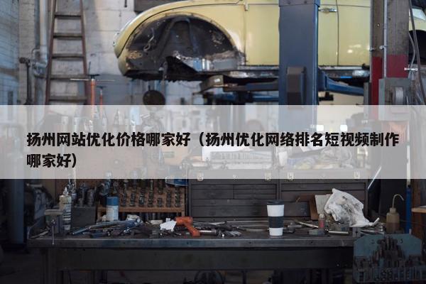 扬州网站优化价格哪家好（扬州优化网络排名短视频制作哪家好）