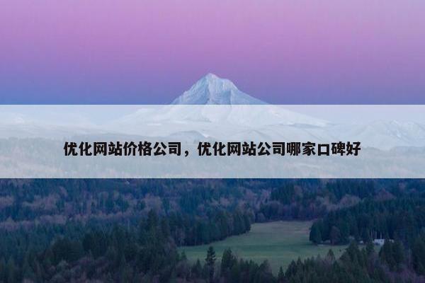 优化网站价格公司，优化网站公司哪家口碑好