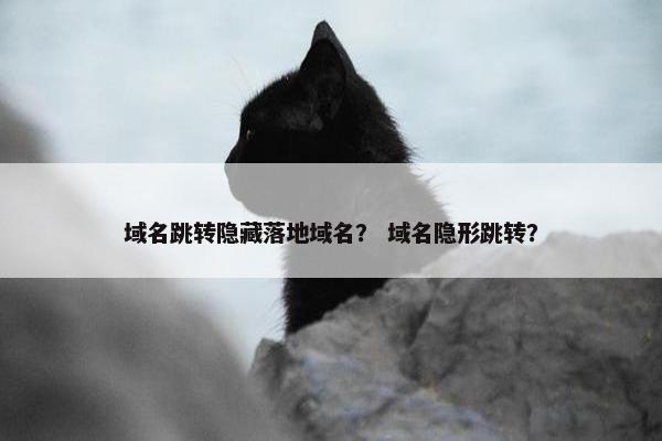 域名跳转隐藏落地域名？ 域名隐形跳转？