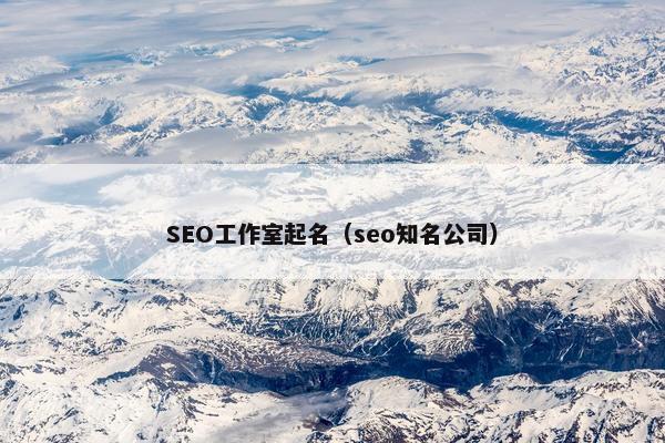 SEO工作室起名（seo知名公司）