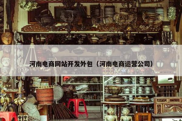河南电商网站开发外包（河南电商运营公司）