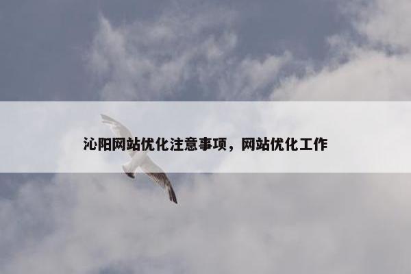沁阳网站优化注意事项，网站优化工作