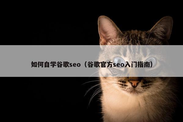 如何自学谷歌seo（谷歌官方seo入门指南）