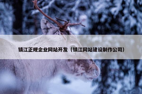 镇江正规企业网站开发（镇江网站建设制作公司）