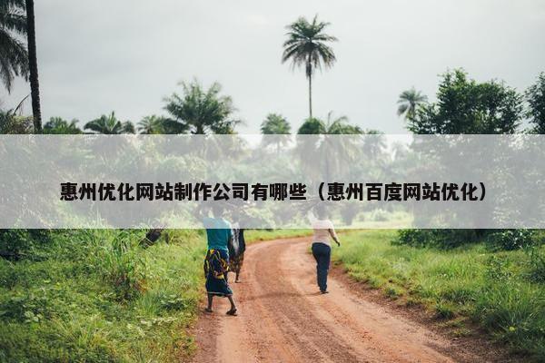 惠州优化网站制作公司有哪些（惠州百度网站优化）
