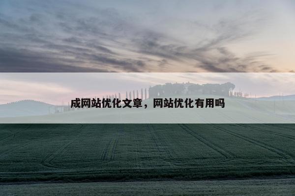 成网站优化文章，网站优化有用吗