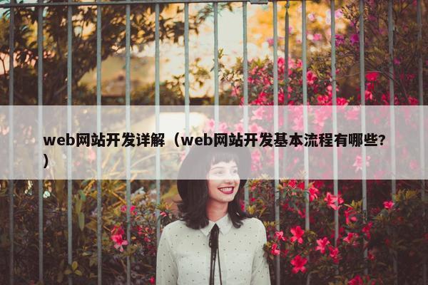 web网站开发详解（web网站开发基本流程有哪些?）
