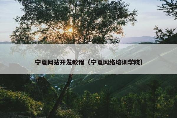 宁夏网站开发教程（宁夏网络培训学院）