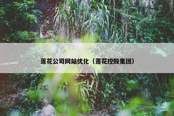 莲花公司网站优化（莲花控股集团）