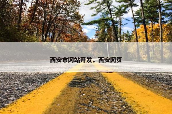 西安市网站开发，西安网页
