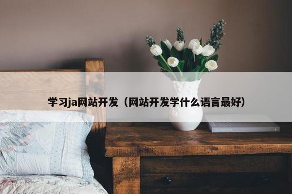 学习ja网站开发（网站开发学什么语言最好）