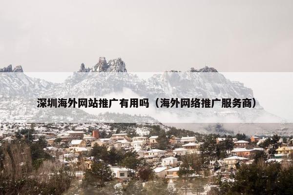 深圳海外网站推广有用吗（海外网络推广服务商）