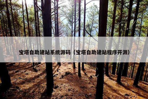 宝塔自助建站系统源码（宝塔自助建站程序开源）