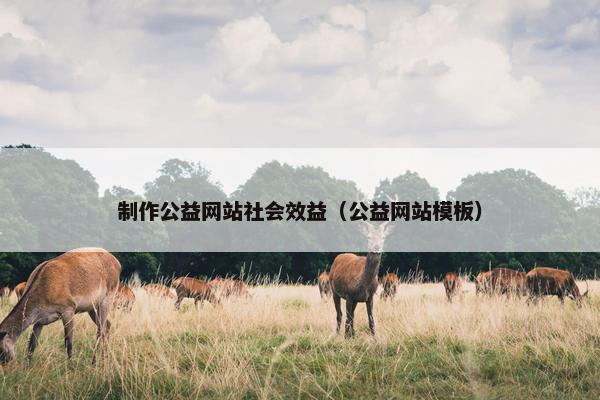 制作公益网站社会效益（公益网站模板）