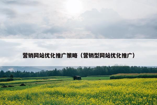 营销网站优化推广策略（营销型网站优化推广）
