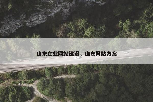 山东企业网站建设，山东网站方案