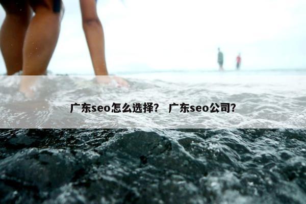 广东seo怎么选择？ 广东seo公司？