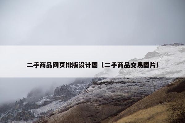 二手商品网页排版设计图（二手商品交易图片）