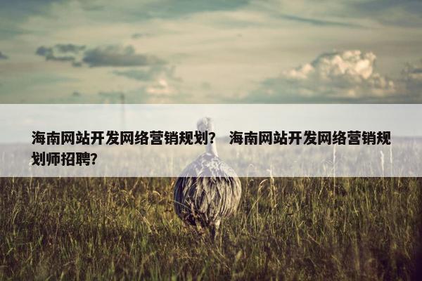 海南网站开发网络营销规划？ 海南网站开发网络营销规划师招聘？